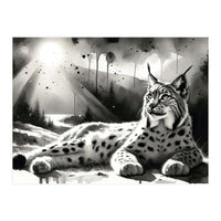 Lynx Resting In Sunlight (Print Only)