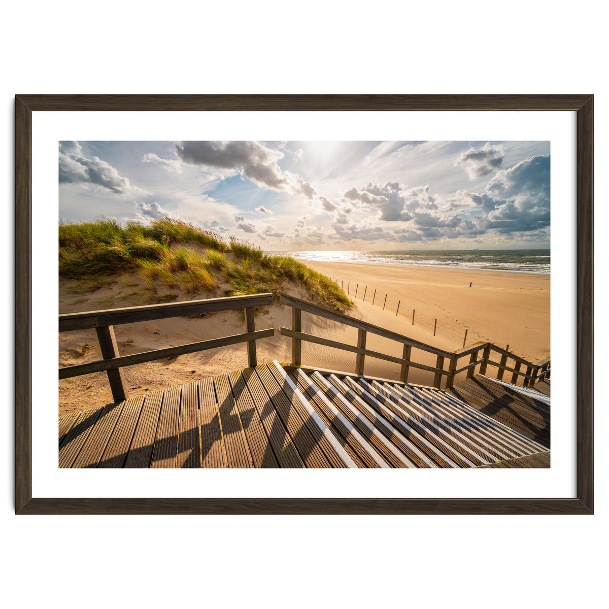 A day at the Dutch beach