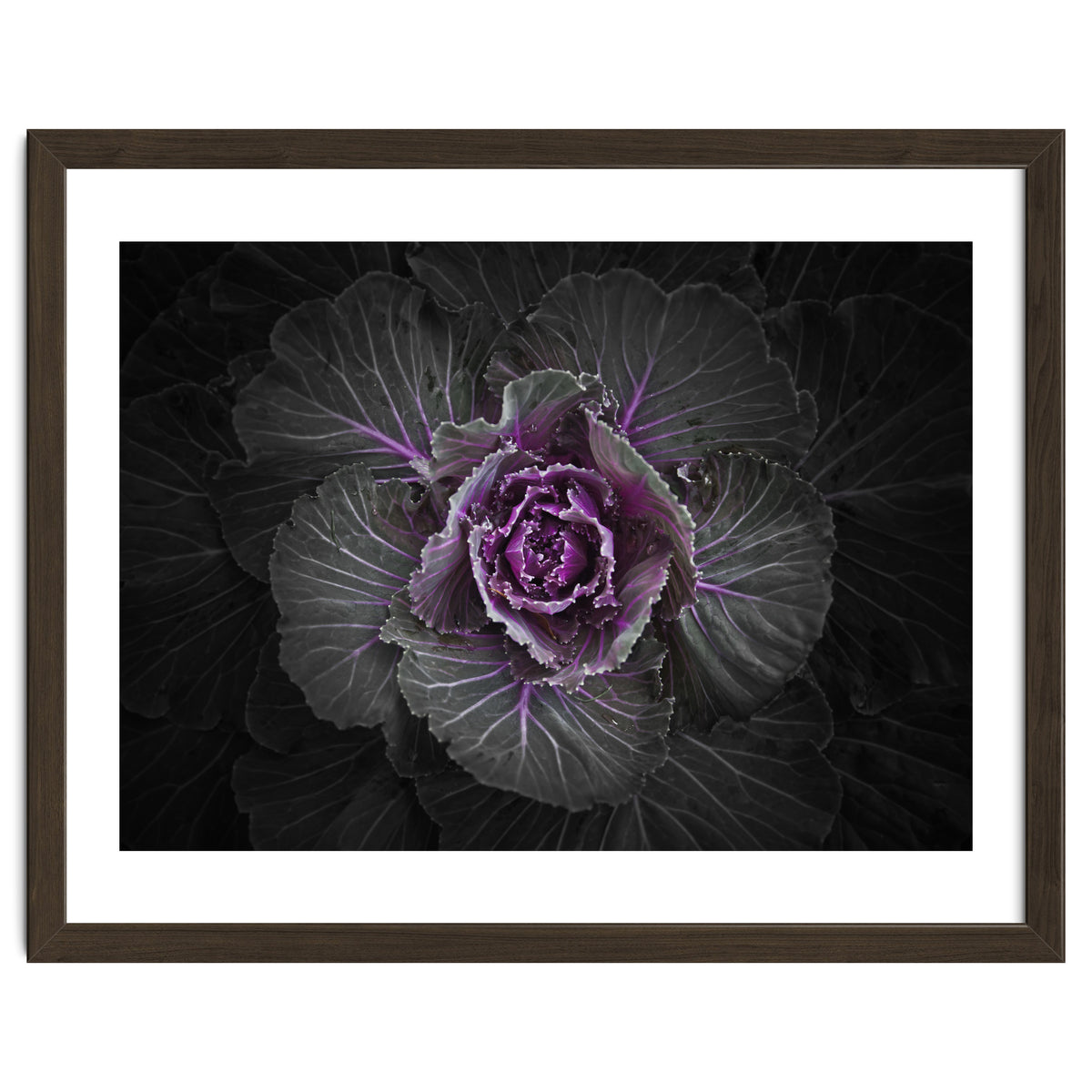 Backyard Flowers No 108 Color Version