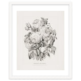 Currier & Ives – Rose of May (1870) thumbnail