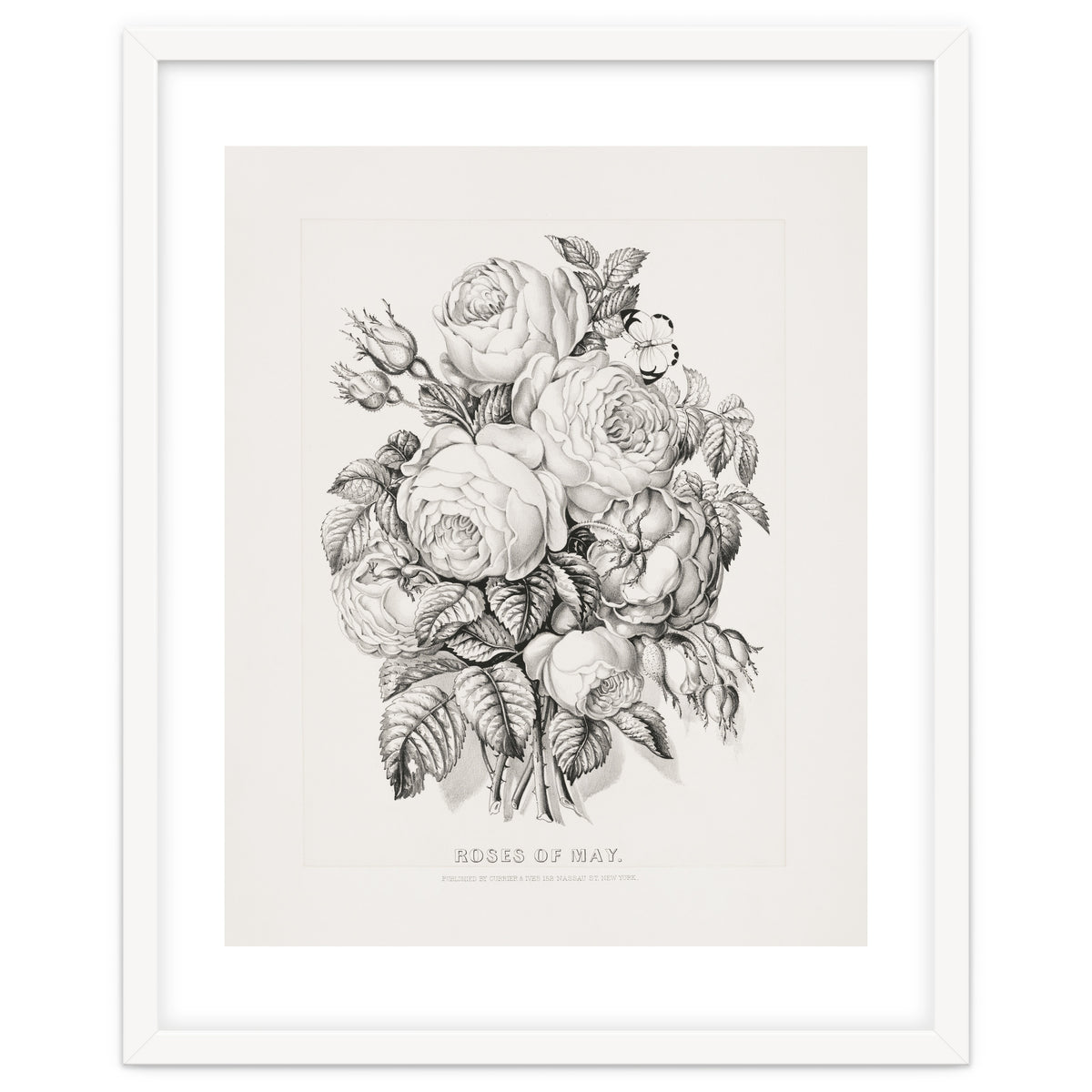 Currier & Ives – Rose of May (1870)