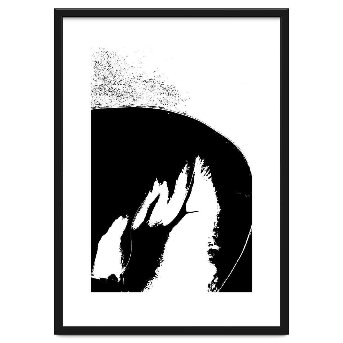 Black & White Study III