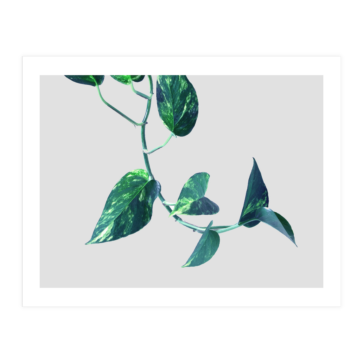 Projection & Emotion (Print Only)