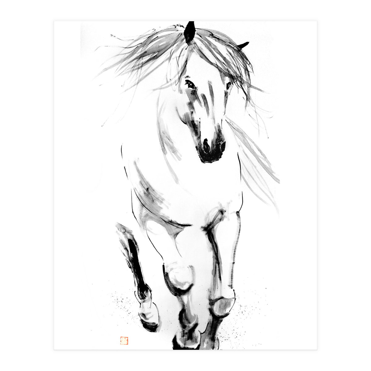 Runninh Ghorse In Water (Print Only)