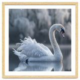Majestic White Swan Gracefully Floating On Water thumbnail