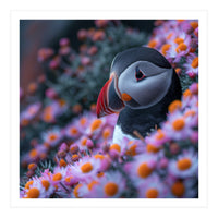 Puffin Bird Among Pink Flowers  (Print Only)