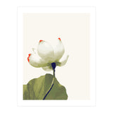 Alive (Print Only) thumbnail