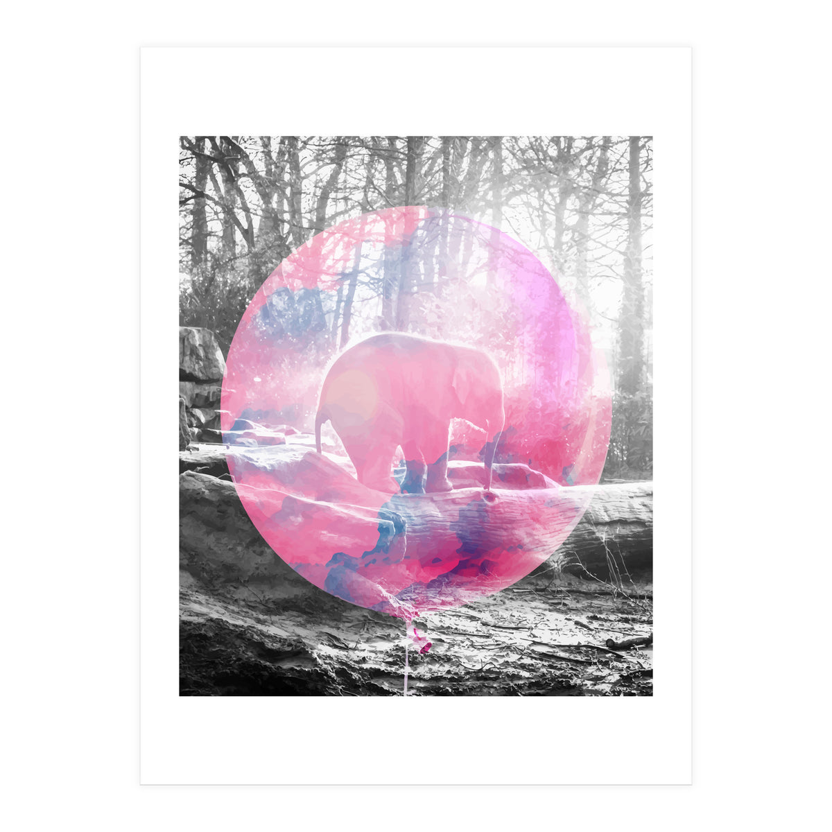 Baby Elephant In A Balloon (Print Only)