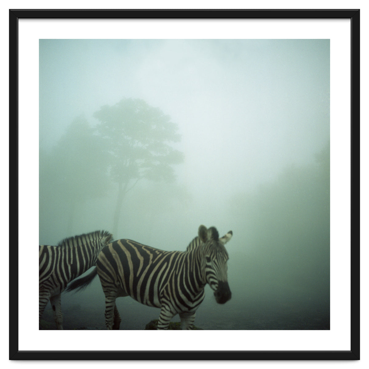 Silence of breath - 16