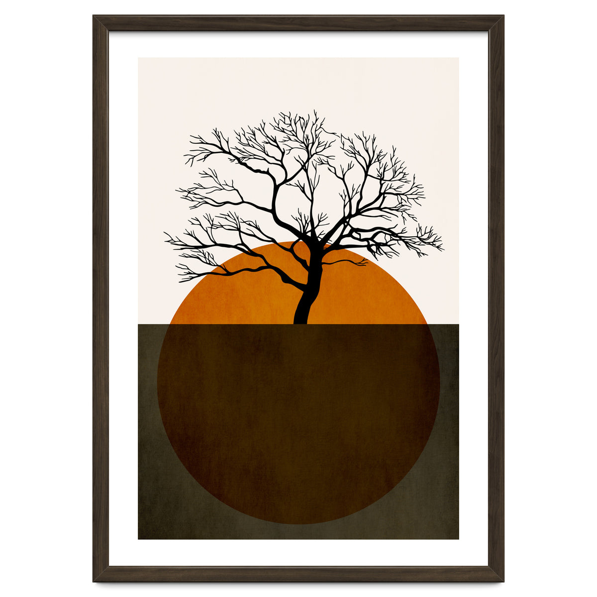 Sunny Days Of Silence