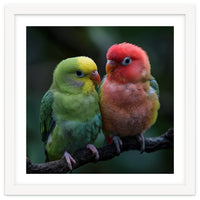 Two Lovebirds Sitting Together On A Branch