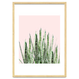 Botanical Balance thumbnail