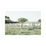 LIVING TOGETHER - WHITE COWS FAMILY (Print Only) thumbnail