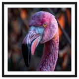 Close Up Of A Pink Flamingo Bird Face thumbnail