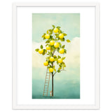 Lemon Tree thumbnail