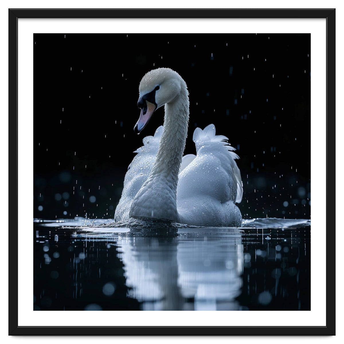 Majestic Swan Swimming In Dark Water