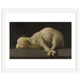 Francisco de Zurbarán / 'Agnus Dei (The Lamb of God)', 1635-1640, Spanish School. thumbnail