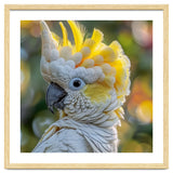 Yellow Crested Cockatoo Bird Close Up Portrait thumbnail