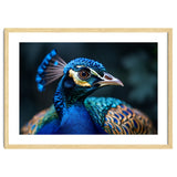 Peacock Head Close Up Majestic Blue Bird thumbnail