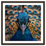 Close Up Peacock Head And Eye With Feathers thumbnail