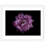 Backyard Flowers No 111 Color Version thumbnail