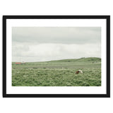 Horses in the middle of the green field - Iceland thumbnail