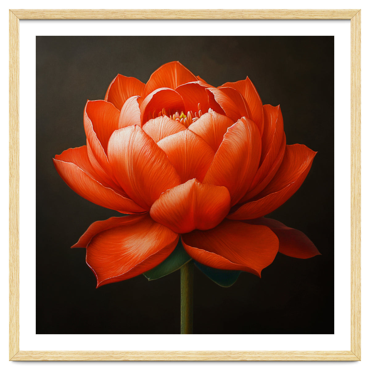 Double Lotus | Scarlet Solace