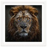 Majestic Lion With Glowing Eyes Close Up Portrait thumbnail