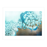 Moonlit Reef (Print Only) thumbnail