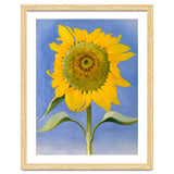 Georgia O’Keeffe – Sunflower, New Mexico (1935) | Bold Modernist Floral Painting Inspired by the American Southwest thumbnail