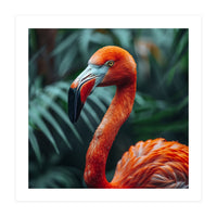 Close Up Of A Vibrant Orange Flamingo Bird (Print Only)