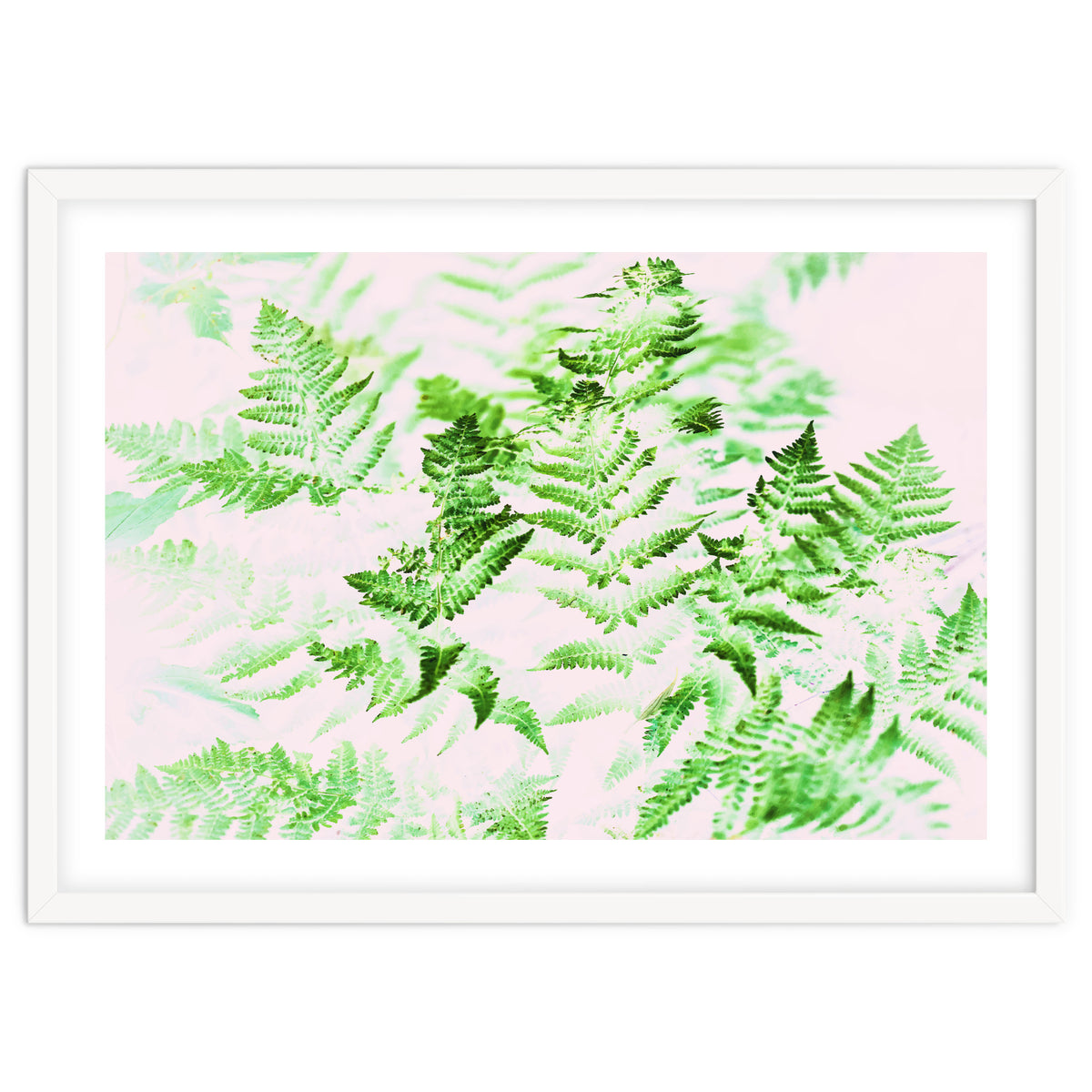Fern Forest #society6 #decor #buyart