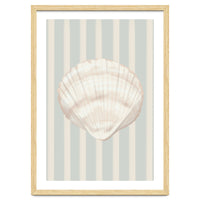 Sea shell