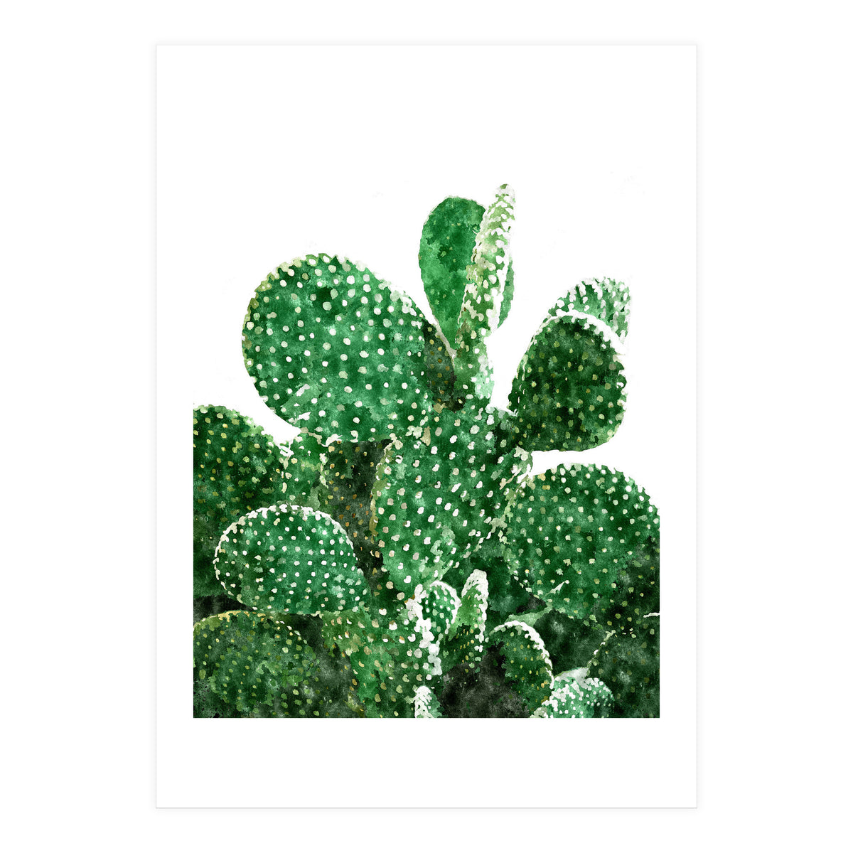 Velvet Cactus | Watercolor Botanical Plants | Minimal Boho Scandinavian Painting (Print Only)