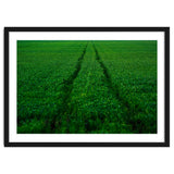 Track and Field thumbnail