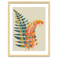 Colorful Fern Leaves