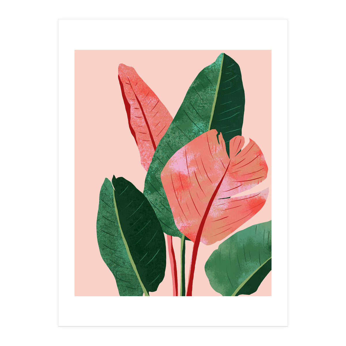 Blush Tropical, Banana Leaves Watercolor Botanical Jungle Painting, Forest Plants Leaves Pink Chic Bohemian (Print Only)
