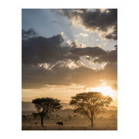 Sunset with an Elephant (Print Only)
