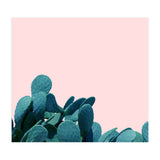 Kaktos (Print Only) thumbnail