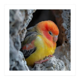 Cute Lovebird Perched On A Rock In A Cave (Print Only) thumbnail
