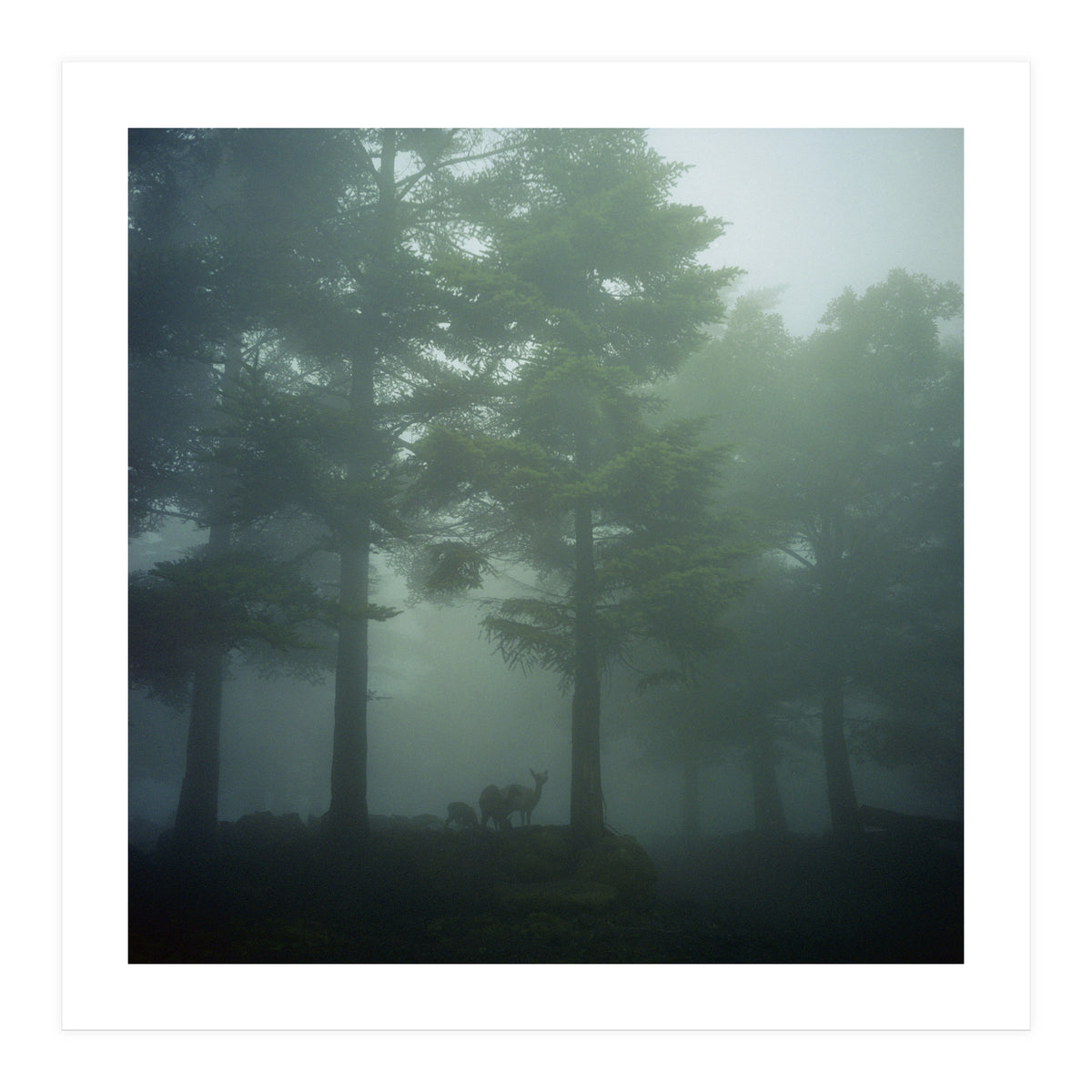 Silence of breath - 10 (Print Only)