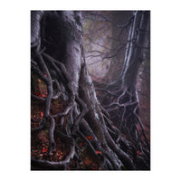 Tree roots (Print Only)