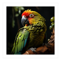 Vibrant Macaw Parrot  (Print Only)