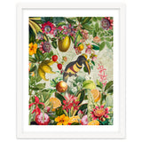 Toucan vintage jungle thumbnail