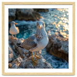 Seagull Standing On Rocks Near Water thumbnail