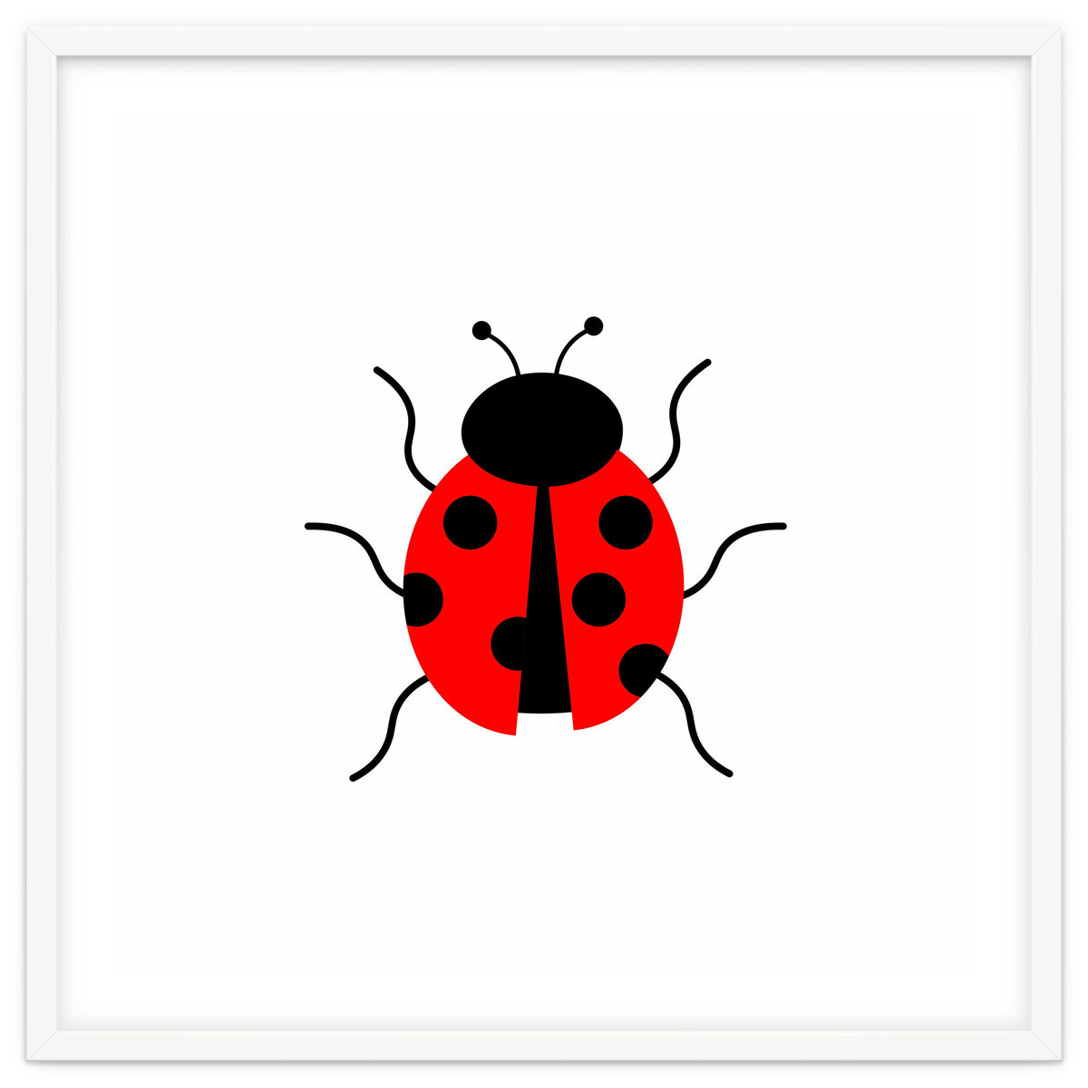 Lady Bug