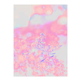 Chamomile (Print Only) thumbnail