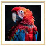 Scarlet Macaw Parrot Detailed Feather Close Up Portrait thumbnail