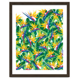 Summer Strelitzia thumbnail