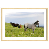 Equine Family thumbnail